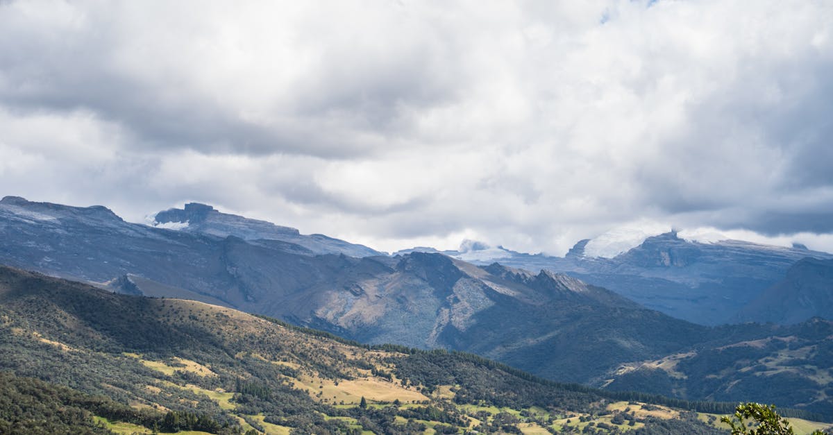 Assessing the Impact of Green Waste Collection on Brisbane's Environment