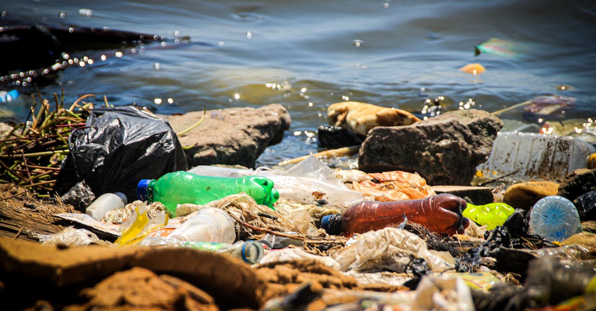 Creative Ways to Upcycle Waste into New Products