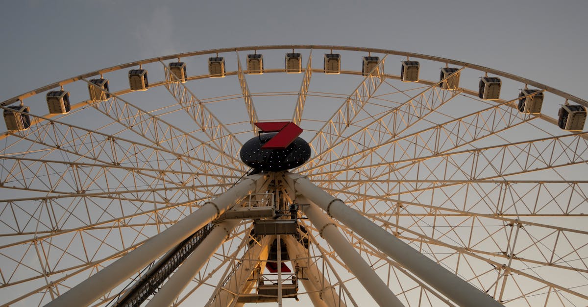 Effective Strategies for Efficient Construction Waste Disposal in Brisbane