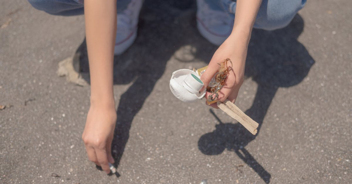 How to Choose the Right Rubbish Removal Service for Your Home