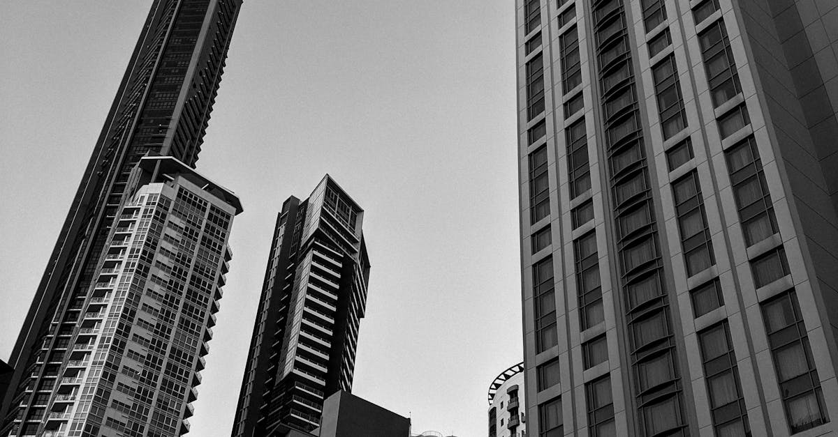 How to Start a Compost Bin in Your Backyard