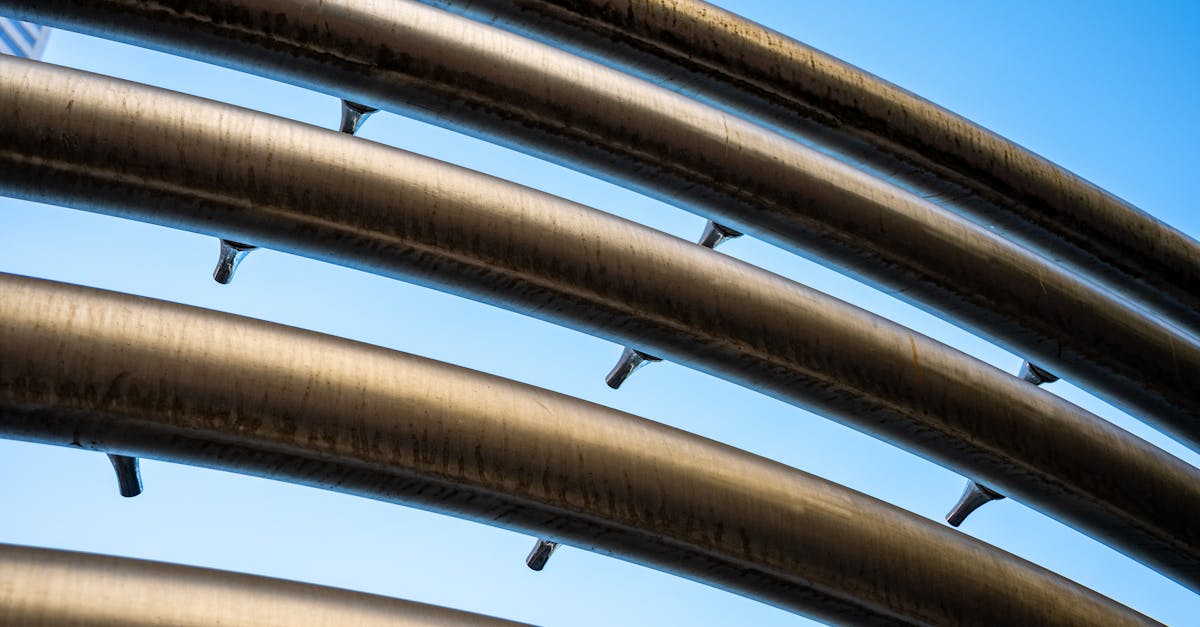 Innovating Garden Waste Solutions for Eco-Conscious Households