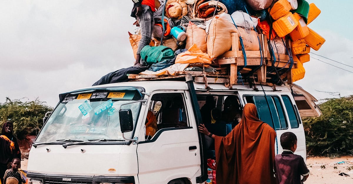 Recognising Invasive Plants and Their Disposal Needs