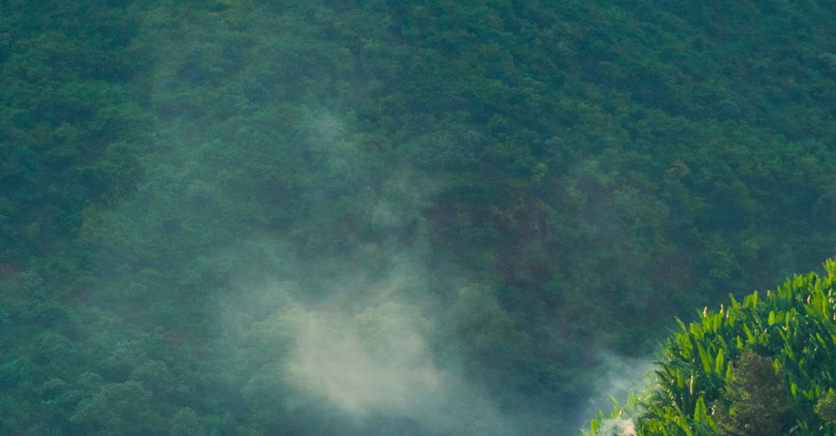 Tips for Minimising Office Waste During Clear-Outs and Relocations