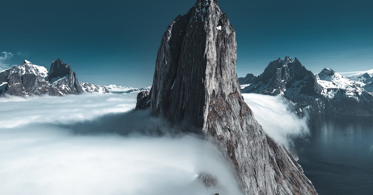 Understanding Local Regulations on Garden Waste Disposal